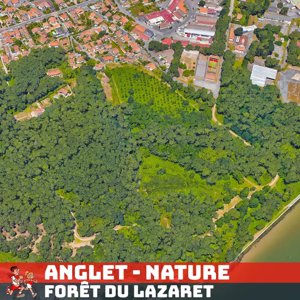 Parcours Foulée du Festayre - Anglet - Forêt Lazaret