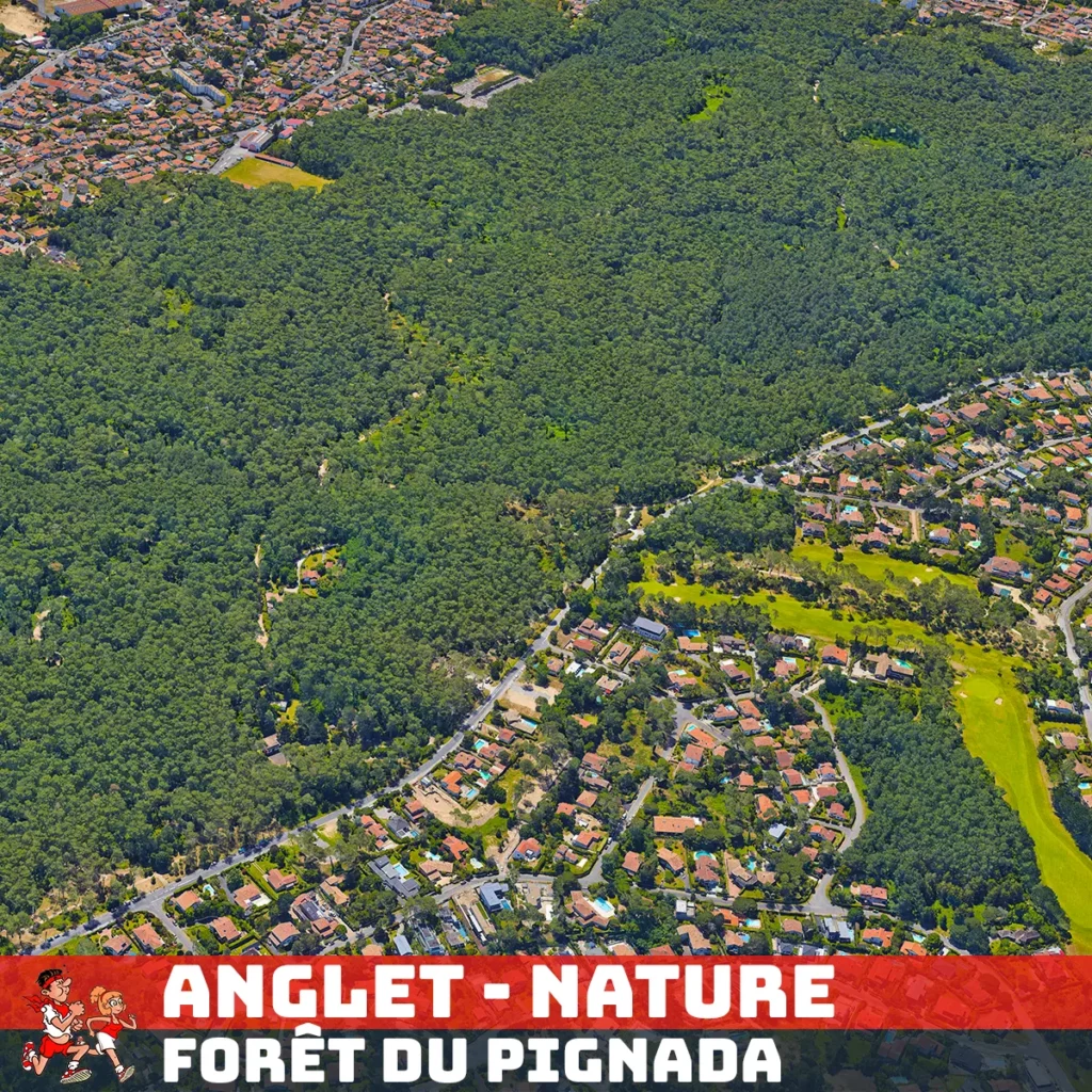 Parcours Foulée du Festayre - Anglet - Forêt Pignada